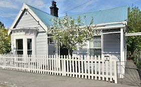 In Dunedin'S Heart, Full House, Full Sun, Full Chill, Why Stay At A Hotel When You Can Afford An Entire House